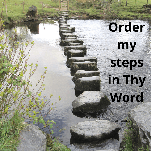 Let God Order Your Steps