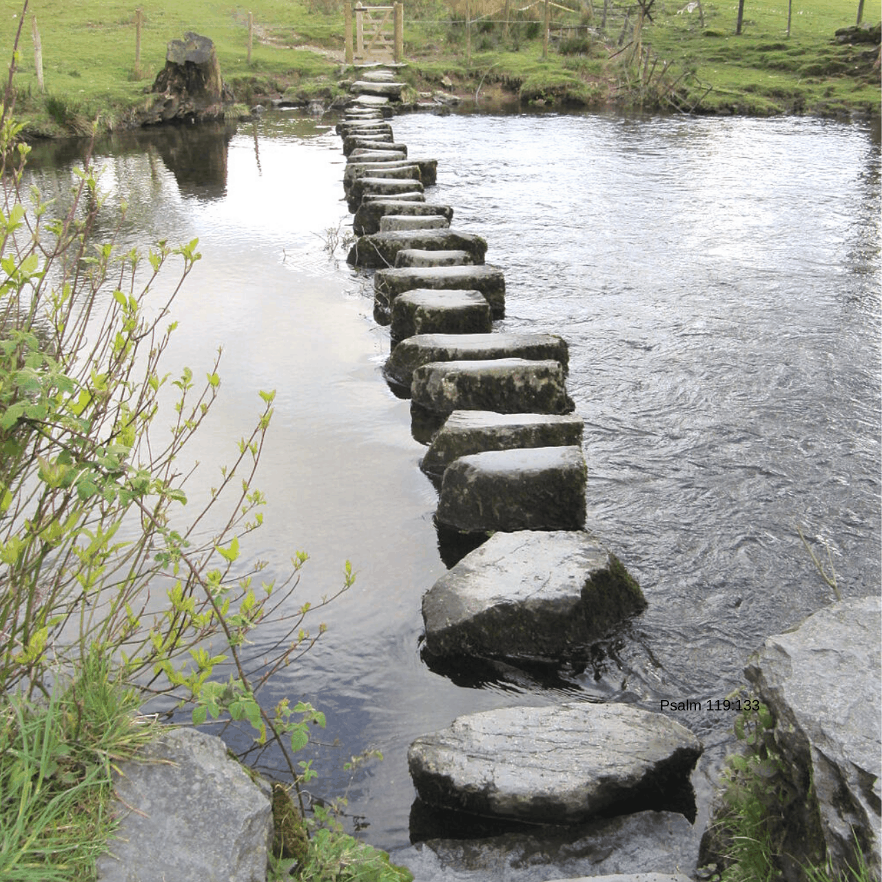 let-god-order-your-steps-the-anglican-anchoress